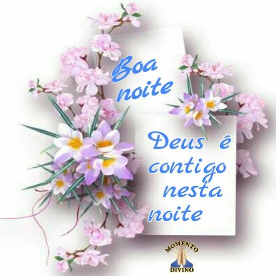 Boa noite