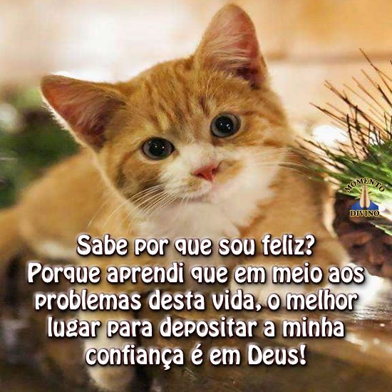 Sabe por que sou feliz?