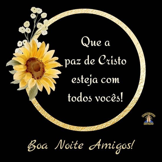 Boa Noite Amigos